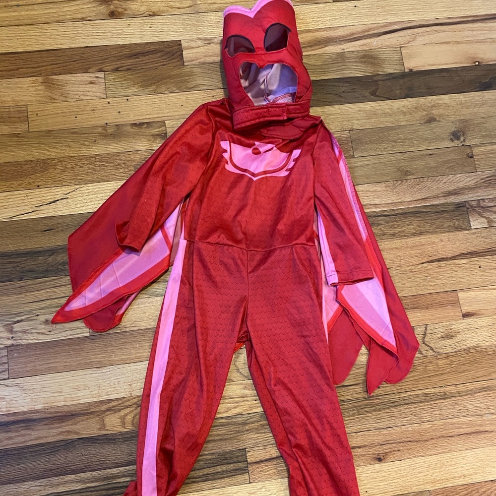 PJ Masks Owlette costume